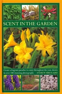 Scent in the Garden