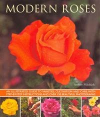 Modern Roses