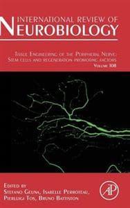 Tissue Engineering of the Peripheral Nerve