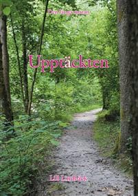 Upptäckten