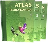 Atlas Flora Danica