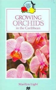 Growing Orchids in the Caribbean