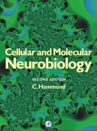 Functional Neurobiology of Aging
