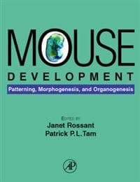 Mouse Development