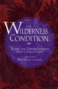 The Wilderness Condition