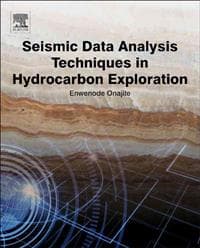 Seismic Data Analysis Techniques in Hydrocarbon Exploration