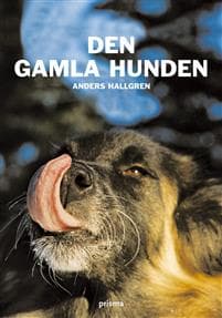 Den gamla hunden : om den äldre hundens fysiska och psykiska välbefinnande