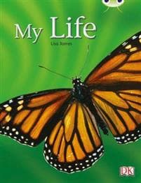 Bug Club Non-fiction Yellow C/1C My Life 6-pack