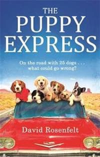 Puppy Express