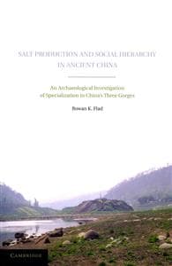 Salt Production and Social Hierarchy in Ancient China
