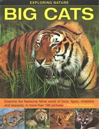 Exploring Nature: Big Cats