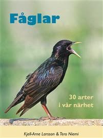 Fåglar : 30 arter i vår närhet