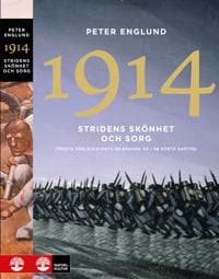 Stridens skönhet och sorg 1914 : första världskrigets inledande år i 68 korta kapitel