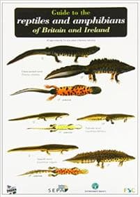 Guide to the Reptiles and Amphibians of Britain and Ireland