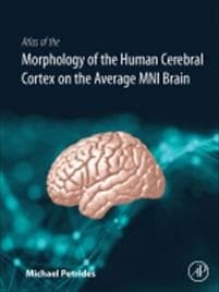 Atlas of the Morphology of the Human Cerebral Cortex on the Average MNI Brain