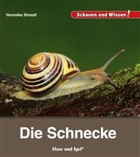 Die Schnecke