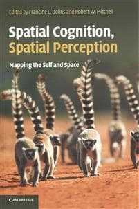 Spatial Cognition, Spatial Perception