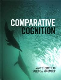 Comparative Cognition