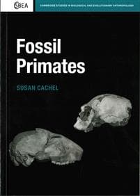 Fossil Primates