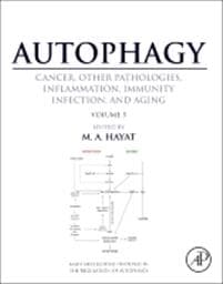 Autophagy: Cancer, Other Pathologies, Inflammation, Immunity, Infection, and Aging