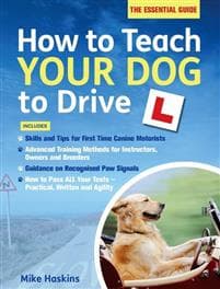 How to Teach your Dog to Drive