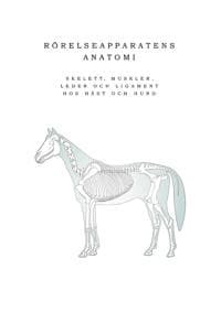 Rörelseapparatens anatomi : skelett, muskler, leder och ligament hos häst och hund