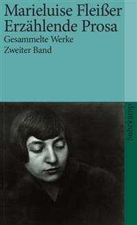 Gesammelte Werke 2. Roman. Erzählende Prosa. Aufsätze