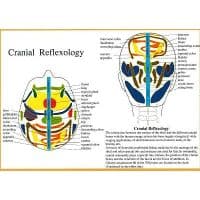 Cranial Reflexology -- A4
