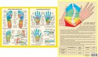 HandFoot Reflexology -- A4