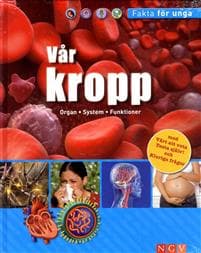 Vår kropp Organ System Funktioner