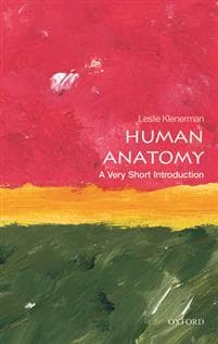 Human Anatomy