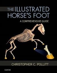 The Illustrated Horse's Foot