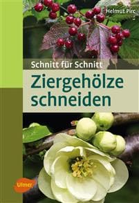 Ziergehölze schneiden