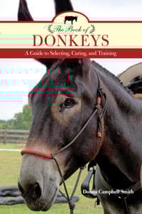 The Book of Donkeys