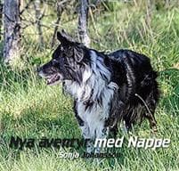 Nya äventyr med Nappe
