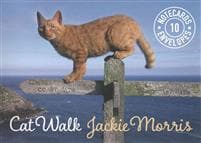 Cat Walk Notecards