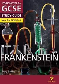 Frankenstein York Notes for GCSE everything you need to catch up