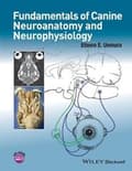Miniatyrbilde 1 av 2: Fundamentals of Canine Neuroanatomy and Neurophysiology