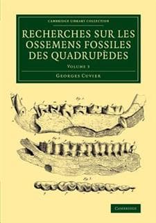 Recherches sur les ossemens fossiles des quadrupèdes