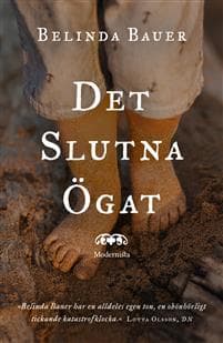 Det slutna ögat