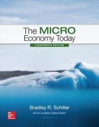 The Micro Economy Today