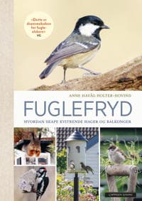 Fuglefryd; hvordan skape kvitrende hager og balkonger