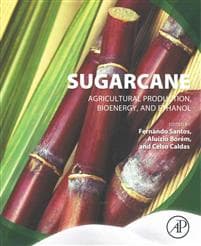 Sugarcane