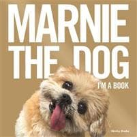 Marnie The Dog
