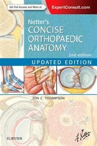 Netter's Concise Orthopaedic Anatomy, Updated Edition