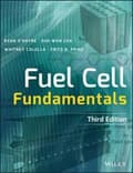 Miniatyrbillede 1 af 2: Fuel Cell Fundamentals