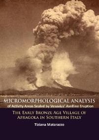 Micromorphological Analysis of Activity Areas Sealed by Vesuvius’ Avellino Eruption