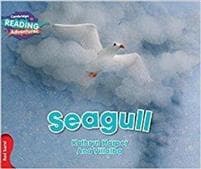Cambridge Reading Adventures Seagull Red Band
