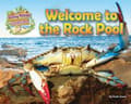 Miniatyrbilde 1 av 2: Living Things and Their Habitats: Welcome to the Rock Pool