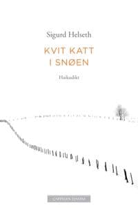 Kvit katt i snøen